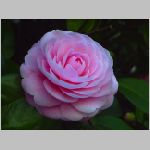 20070312 05.jpg